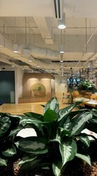 Lazada One (D7), Office #456908611